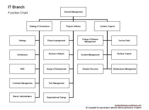 IT Branch - Function Chart